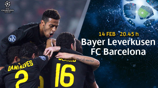 640x360_bayer-fcb.v1326889345.jpg