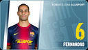 Fernandao Maciel Goncalves