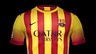 Segona equipació 2013/14